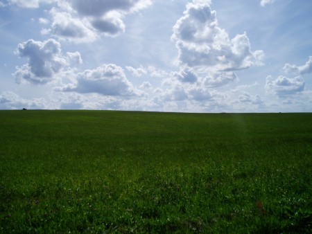 クリーン・スペース